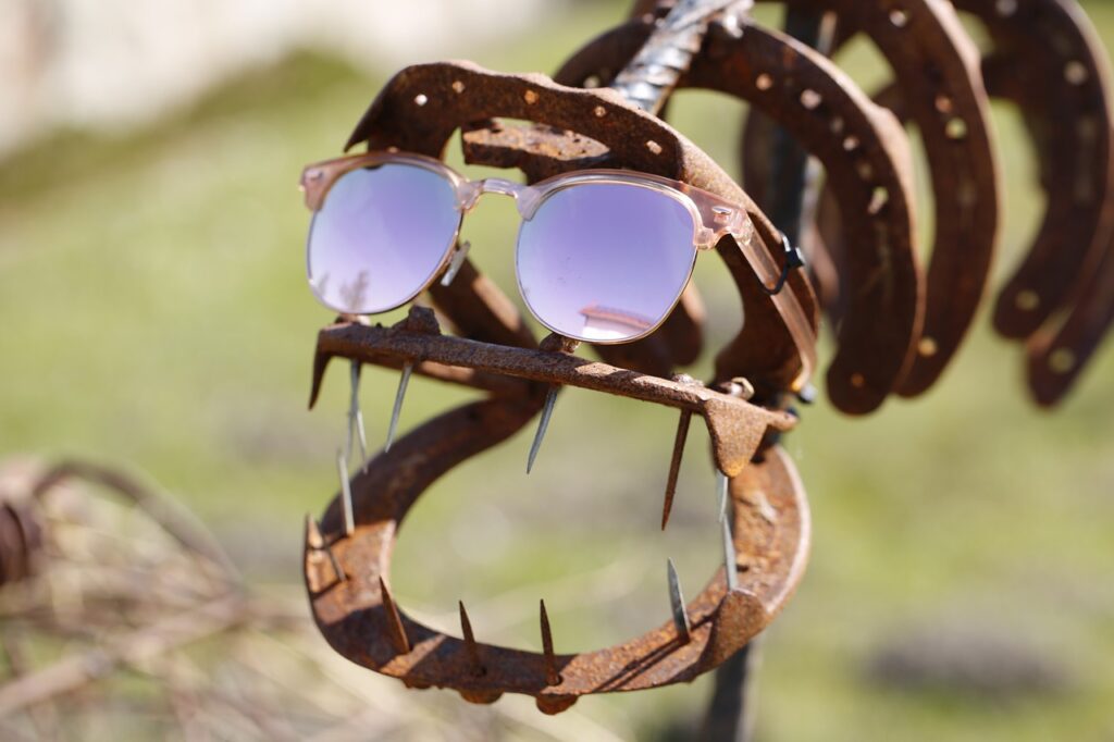 sunglasses on fish skeleton