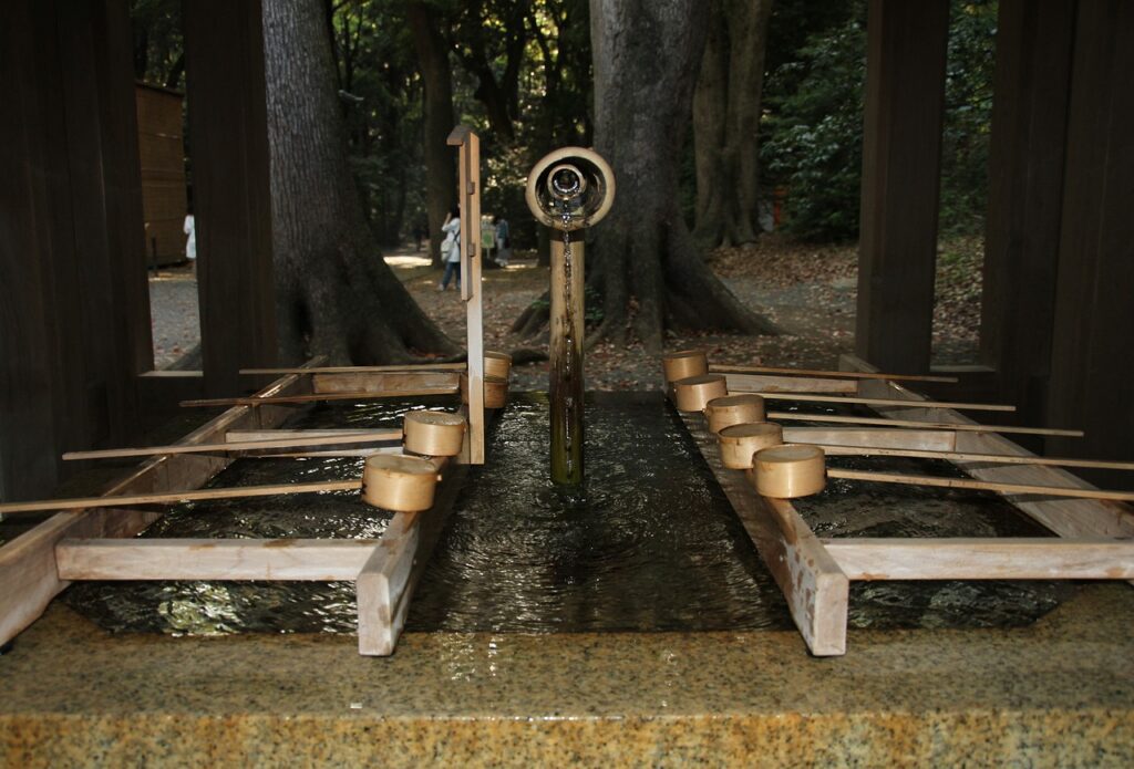 ways to purify water