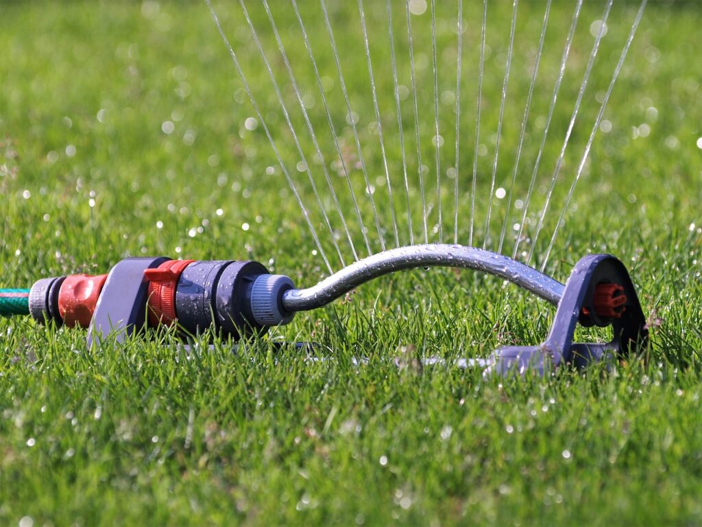 best time to water your lawn